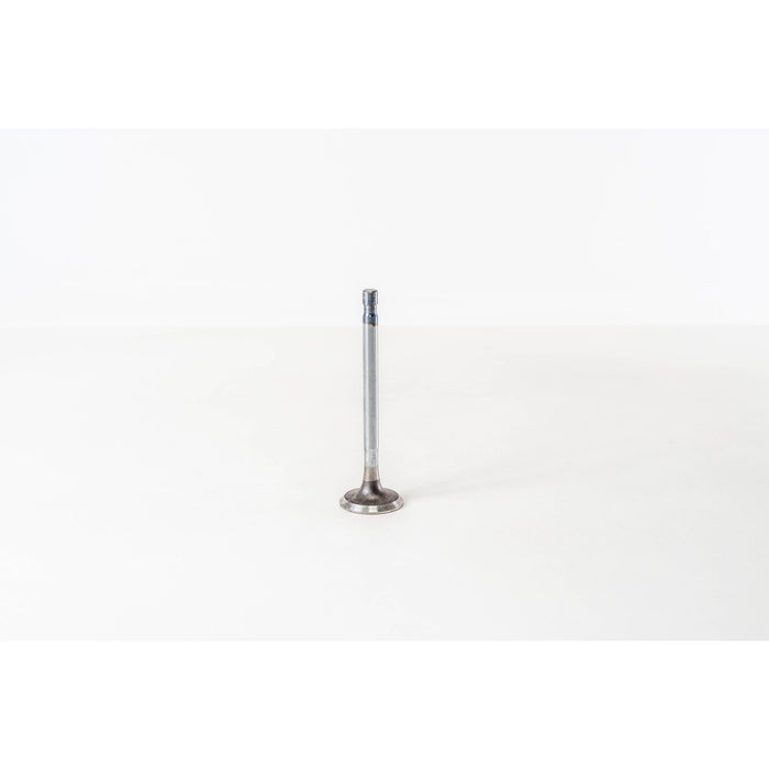 820270 Inlet Valve