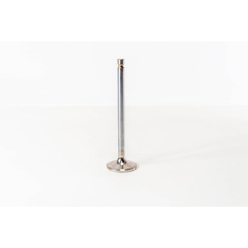820285 Outlet valve