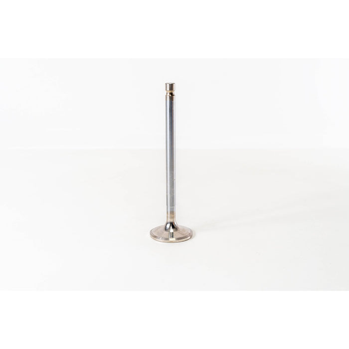 820285 Outlet valve