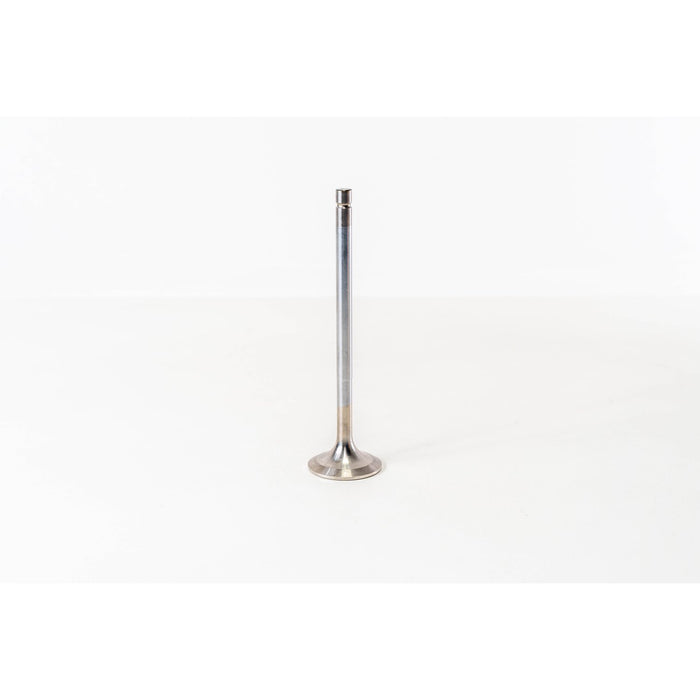 820305 Outlet valve