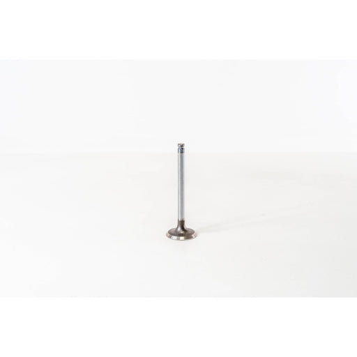 820310 Inlet Valve
