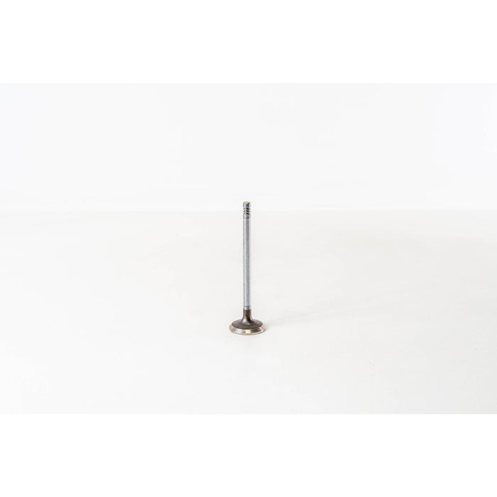 820335 Inlet Valve