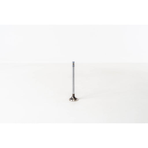 820345 Outlet valve