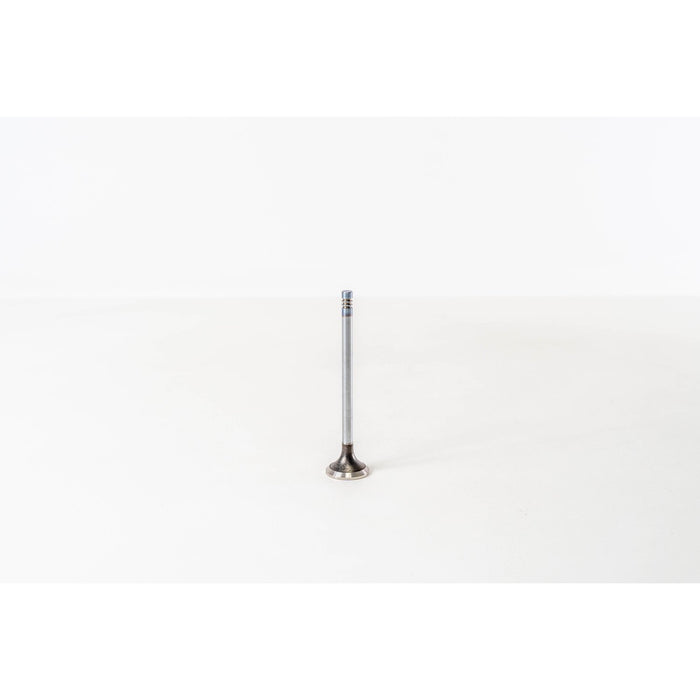 820345 Outlet valve