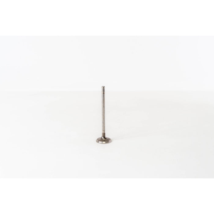 820355 Inlet Valve
