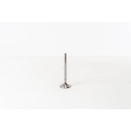 820365 Inlet Valve