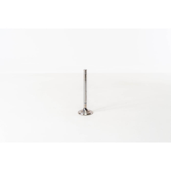 820365 Inlet Valve