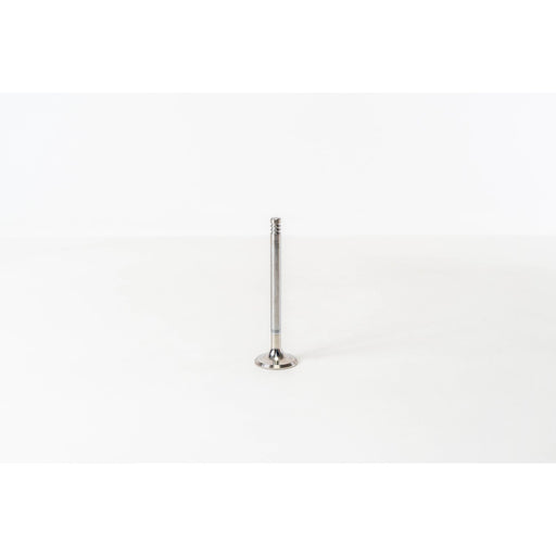 820375 Outlet valve