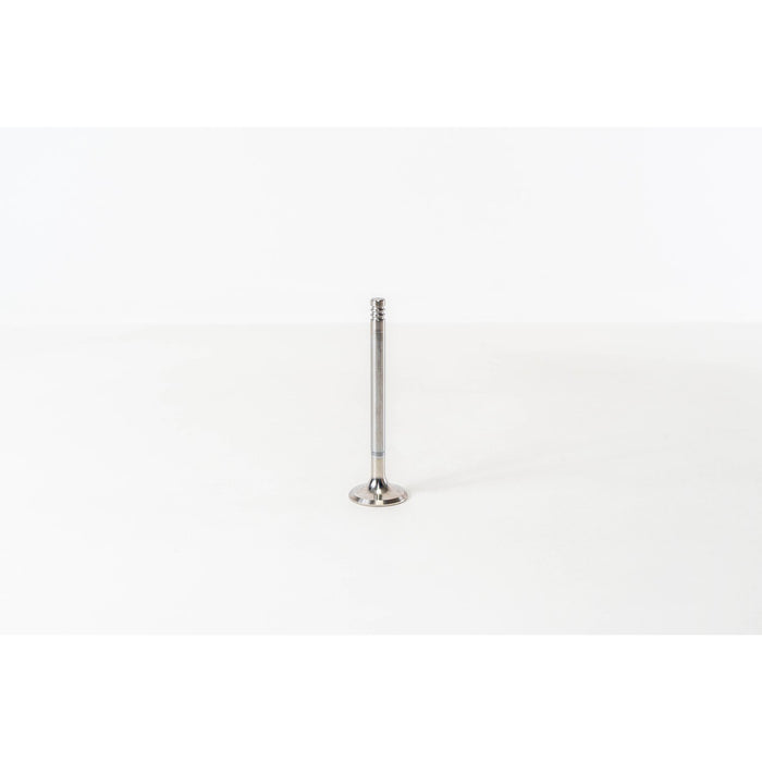 820375 Outlet valve