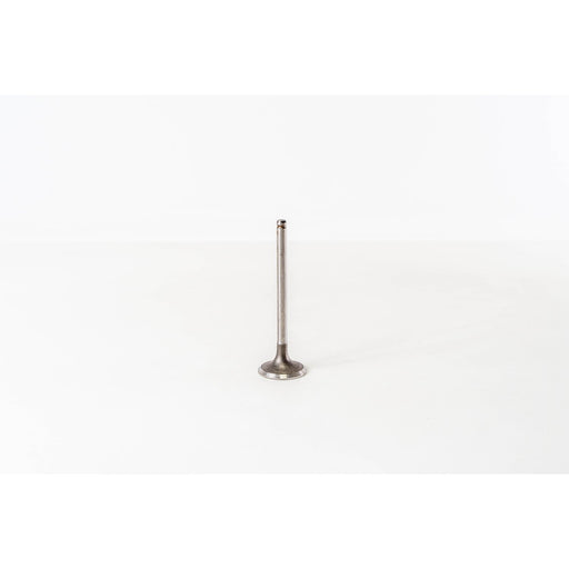 820385 Outlet valve
