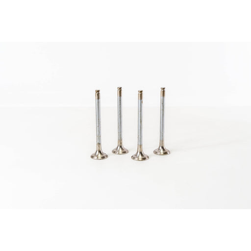 820390 Outlet valve