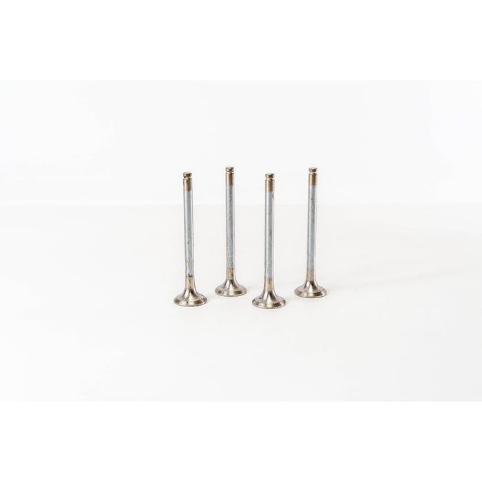 820390 Outlet valve