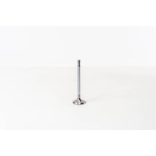 820400 Inlet Valve