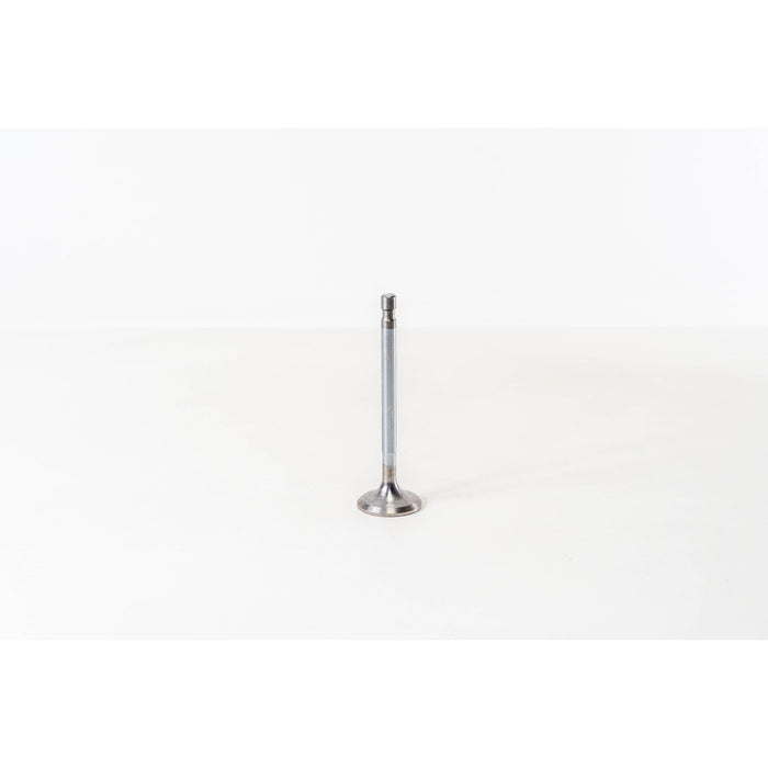 820400 Inlet Valve