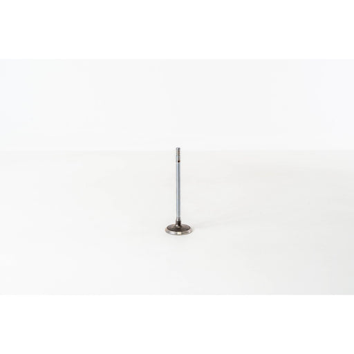 820420 Inlet Valve