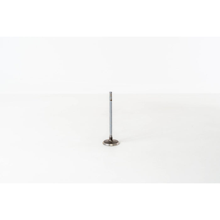 820420 Inlet Valve