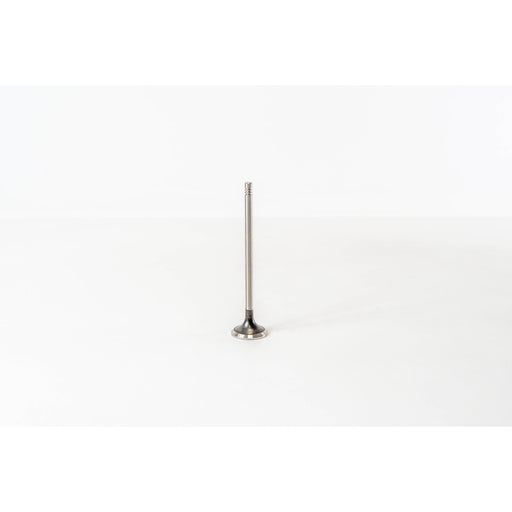 820425 Outlet valve