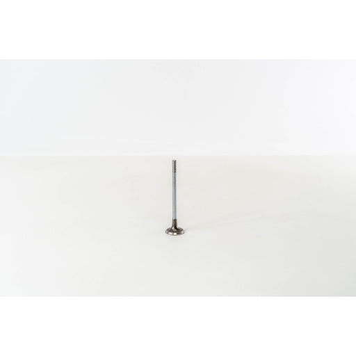820435 Inlet Valve