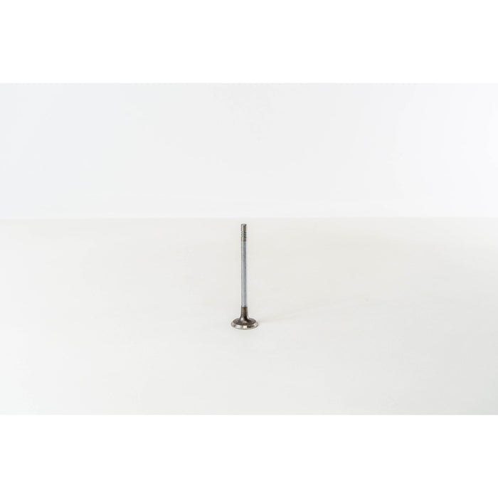 820435 Inlet Valve