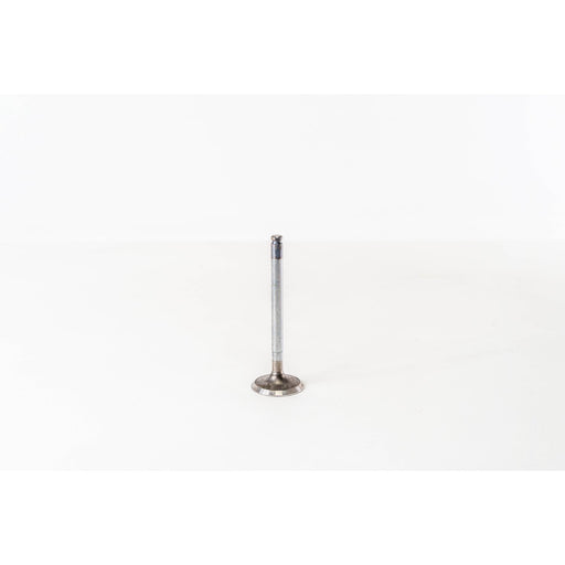 820460 Inlet Valve