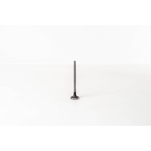 820465 Outlet valve