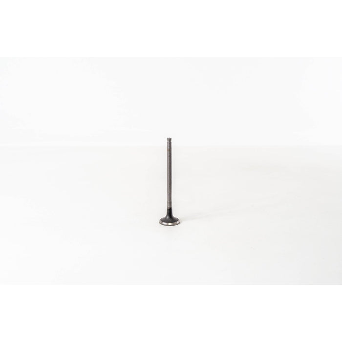 820465 Outlet valve