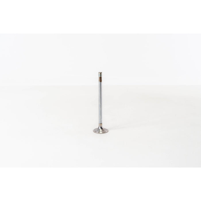 820475 Inlet Valve
