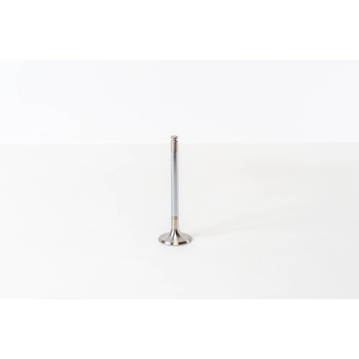 820490 Inlet Valve