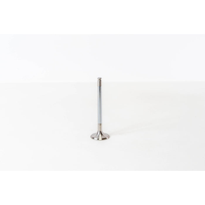 820490 Inlet Valve