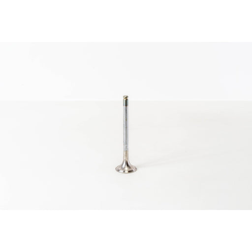 820500 Outlet valve