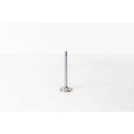 820510 Inlet Valve