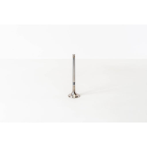 820520 Outlet valve
