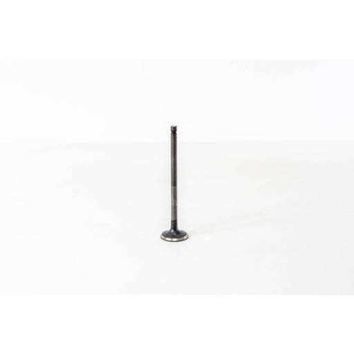 820525 Outlet valve
