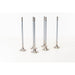 820540 Outlet valve