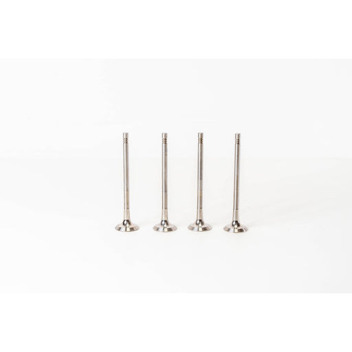 820565 Outlet valve