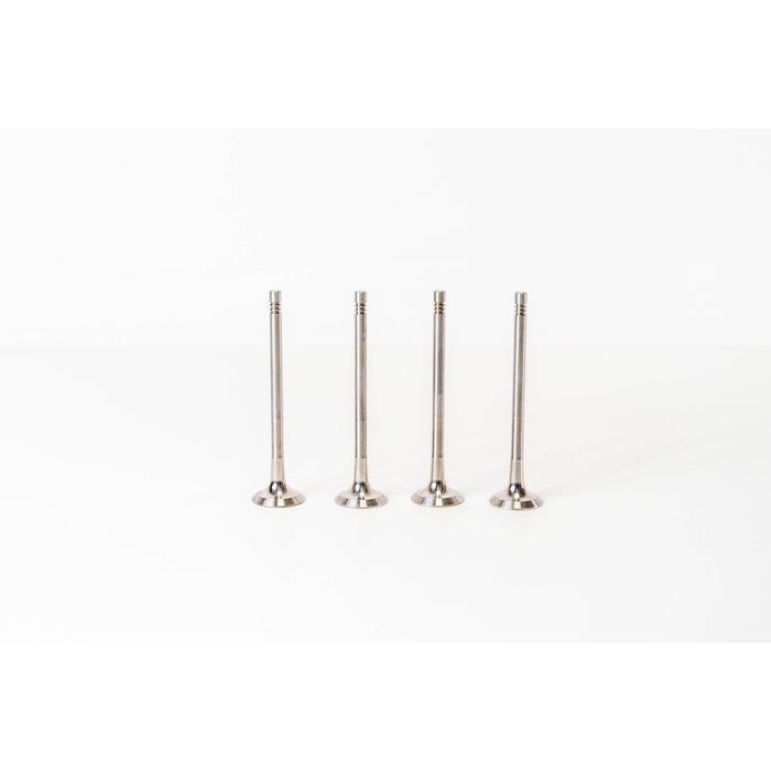 820565 Outlet valve