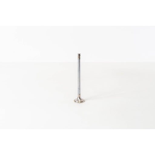 820570 Outlet valve