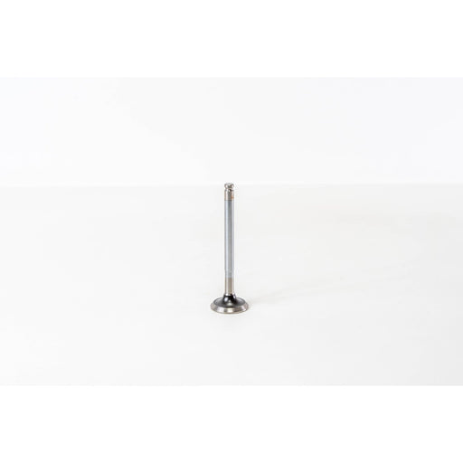 820600 Outlet valve