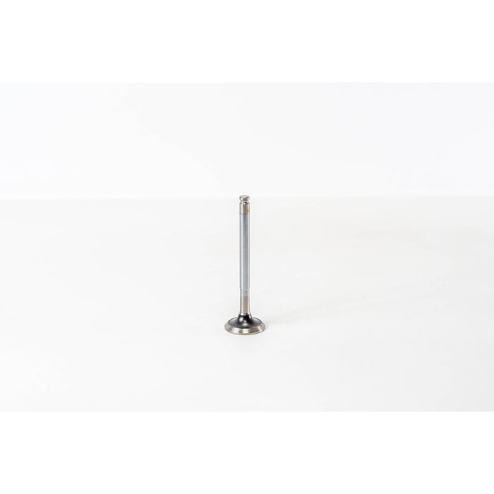 820600 Outlet valve