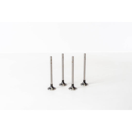 820605 Outlet valve