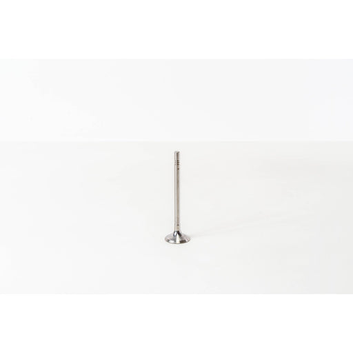 820615 Inlet Valve