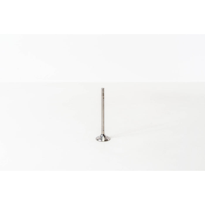 820615 Inlet Valve