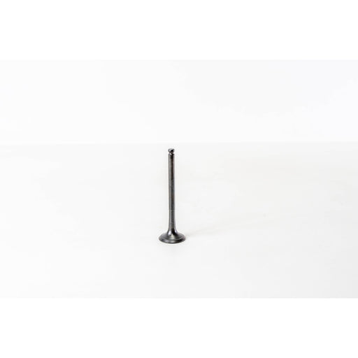 820650 Outlet valve