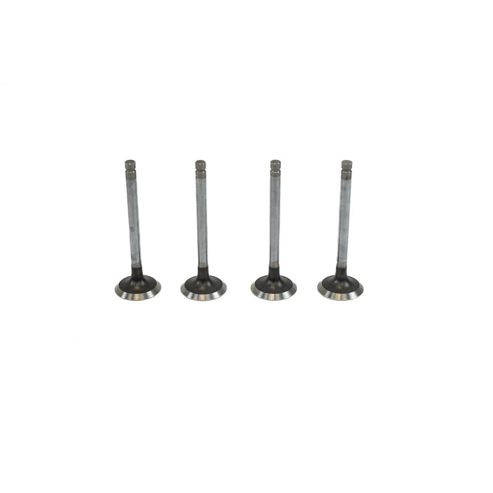 820665 Outlet valve