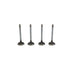 820665 Outlet valve