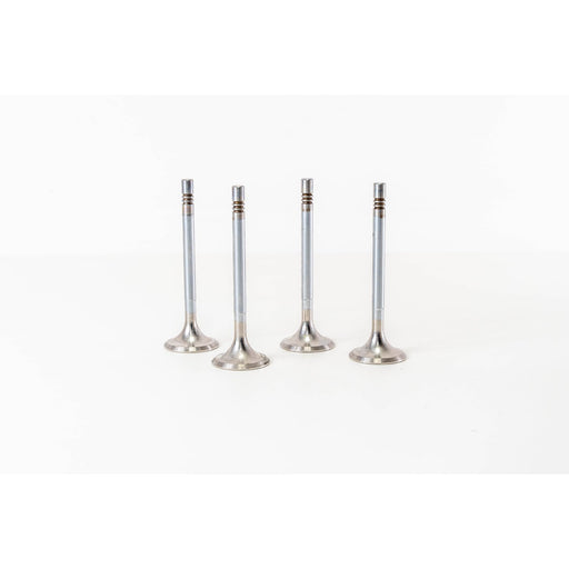 820680 Inlet Valve