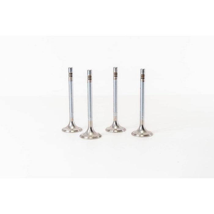 820680 Inlet Valve