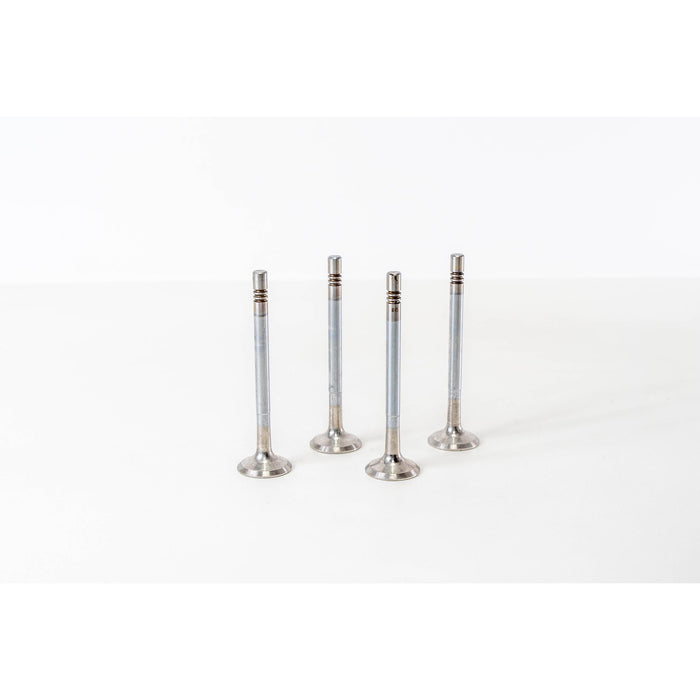 820690 Outlet valve