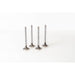 820820 Outlet valve