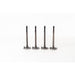 820860 Inlet Valve